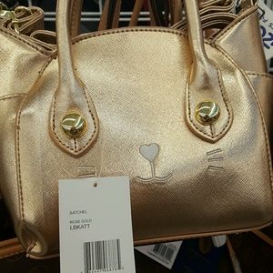 Meet your Posher, Kitty