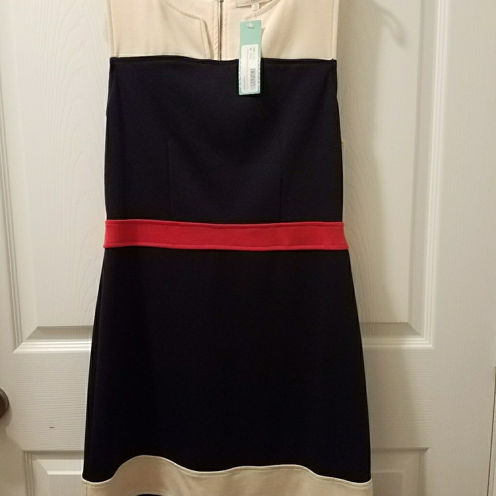 Navy and cream dress.