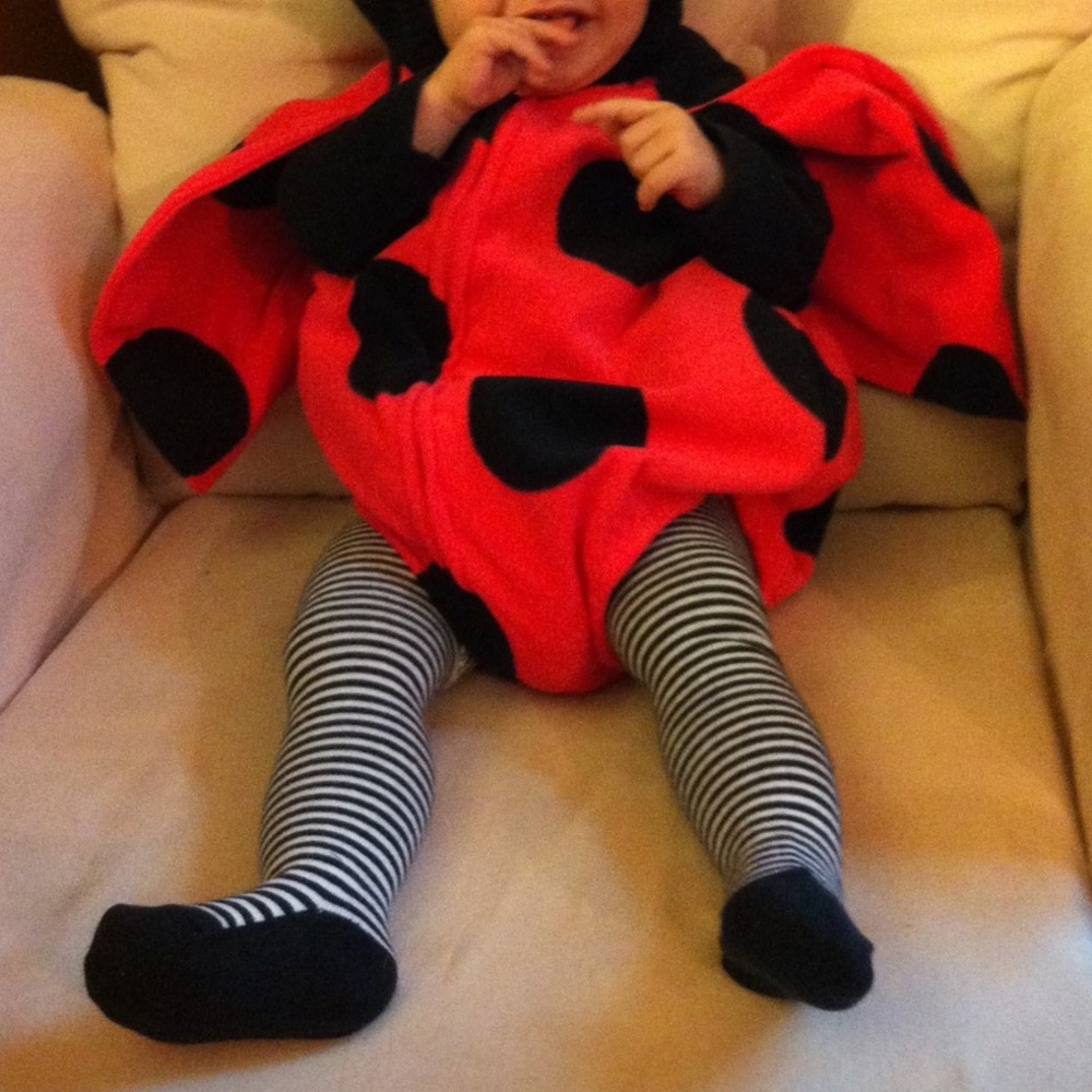 Ladybug costume (undergarments included)