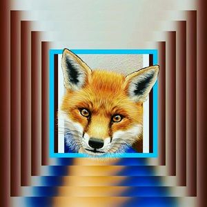 Meet your Posher, Jayden