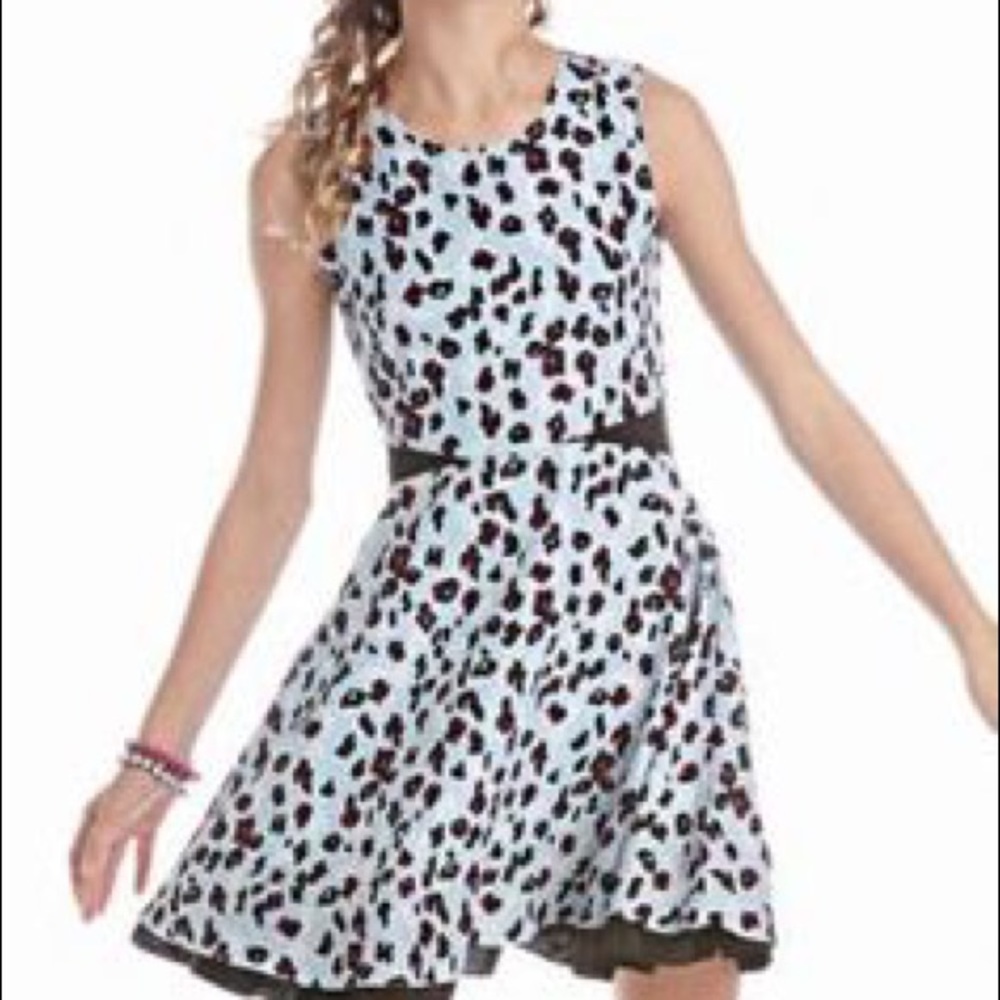 blue cheetah print skater dress