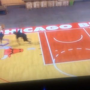 Meet your Posher, Tyson