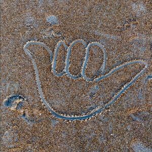 Meet your Posher, Kenley