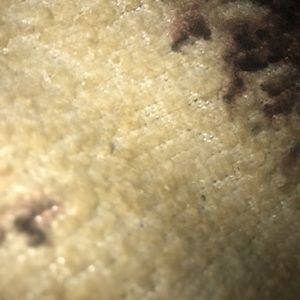 Meet your Posher, Claudette