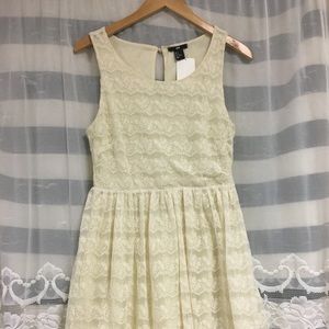 Cream Lace Skater H&M Dress Sz S NWT