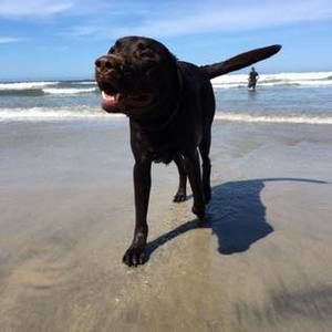 Meet your Posher, Matt