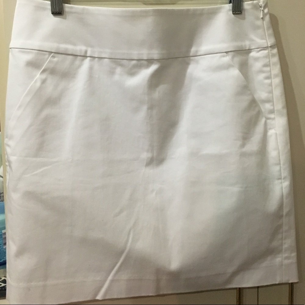 Ann Taylor Loft Pencil Skirt