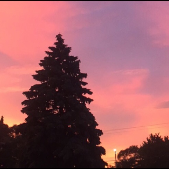 Meet your Posher, Becka - Picture 1 of 1