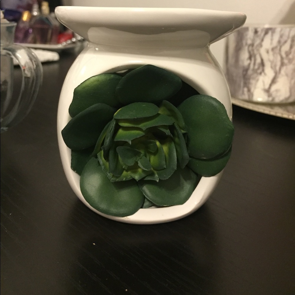 Fake Succulent