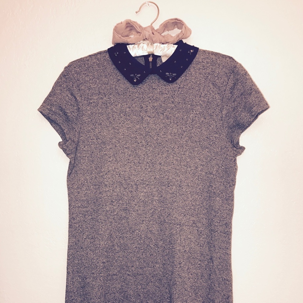 Loft Mini Sweater Dress with Baroque Collar