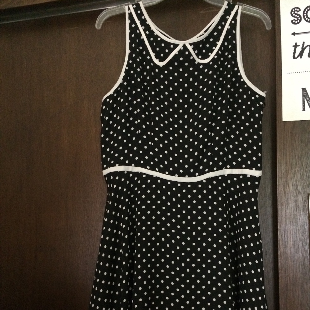 Lauren Conrad Fit and Flare Dress