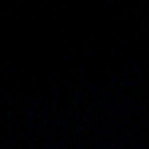 Meet your Posher, Junior