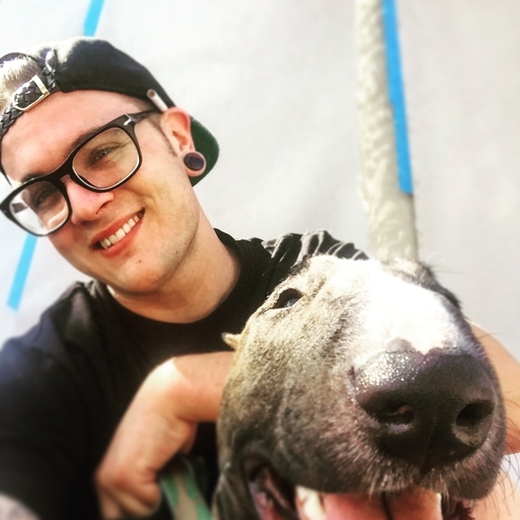 Meet your Posher, Toby - Picture 1 of 1