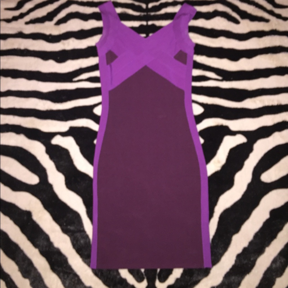 Express bodycon dress