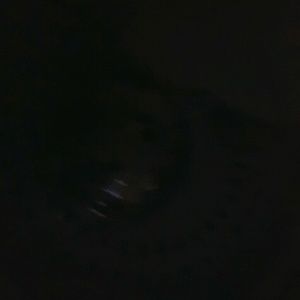 Meet your Posher, Rodney