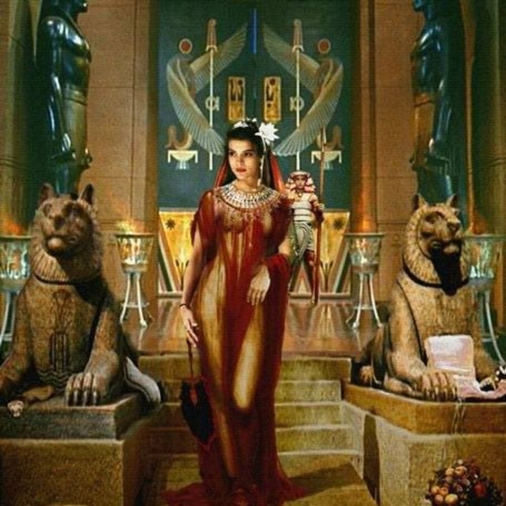 Meet your Posher, Andrea