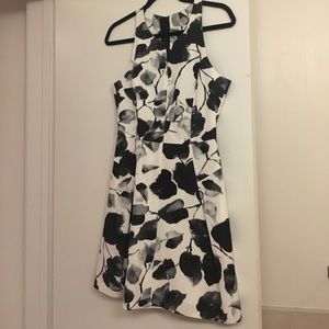 Milly Ivy Print Racerback Fit & Flare Dress 6 New