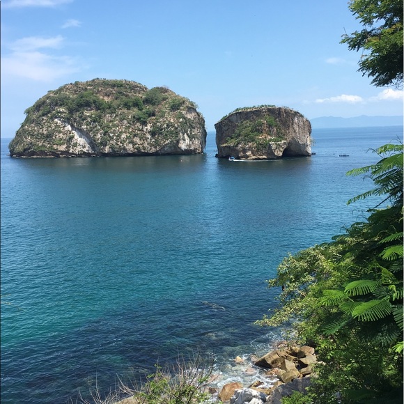 Meet your Posher, Steven - Picture 1 of 1