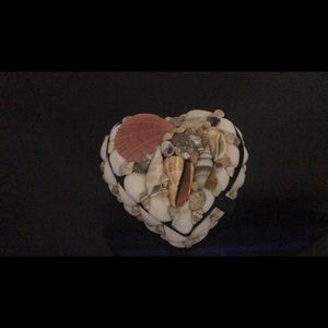 Seashell storage box
