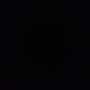 Meet your Posher, Jasmin