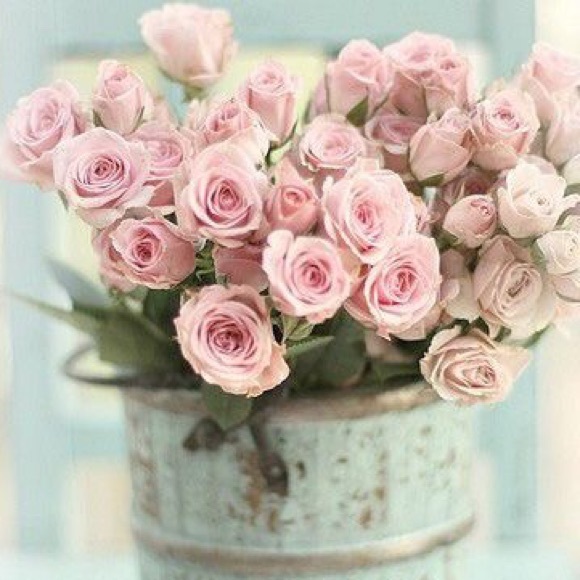 Meet your Posher, M - Picture 1 of 1