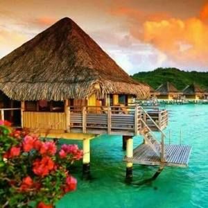 Meet your Posher, Paul