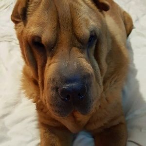 Meet your Posher, Mary