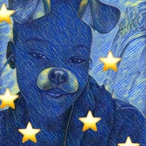 Meet your Posher, Ericka