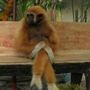 Meet your Posher, Elaine