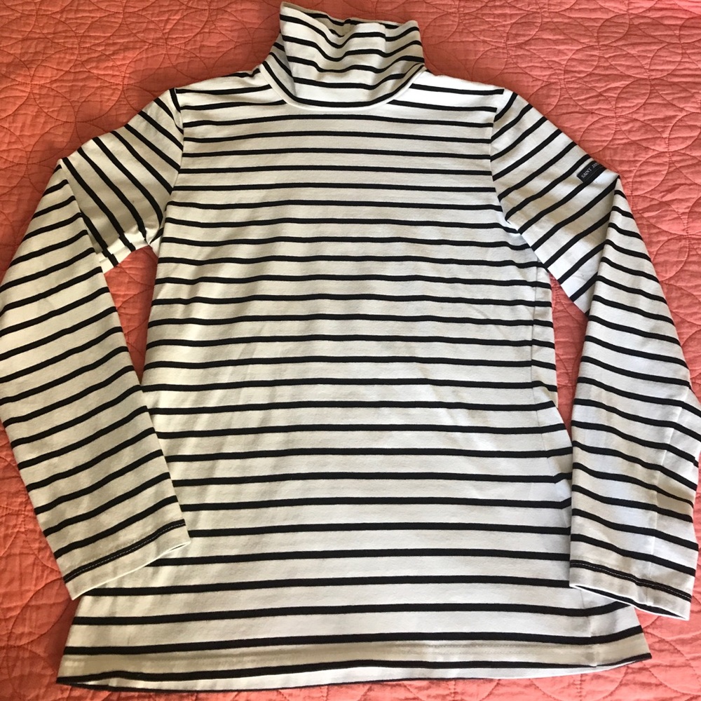 J. Crew Saint James Turtleneck
