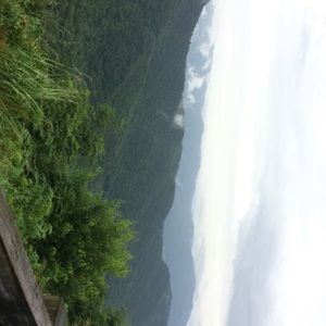 Meet your Posher, Abigail