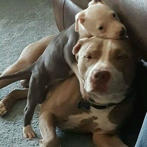 Meet your Posher, Marissa