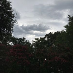 Meet your Posher, Alberta