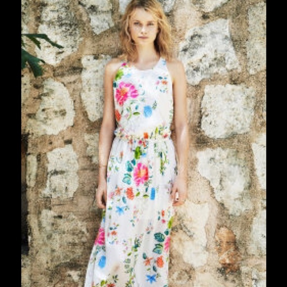 Club Monaco Chelsey Maxi Dress