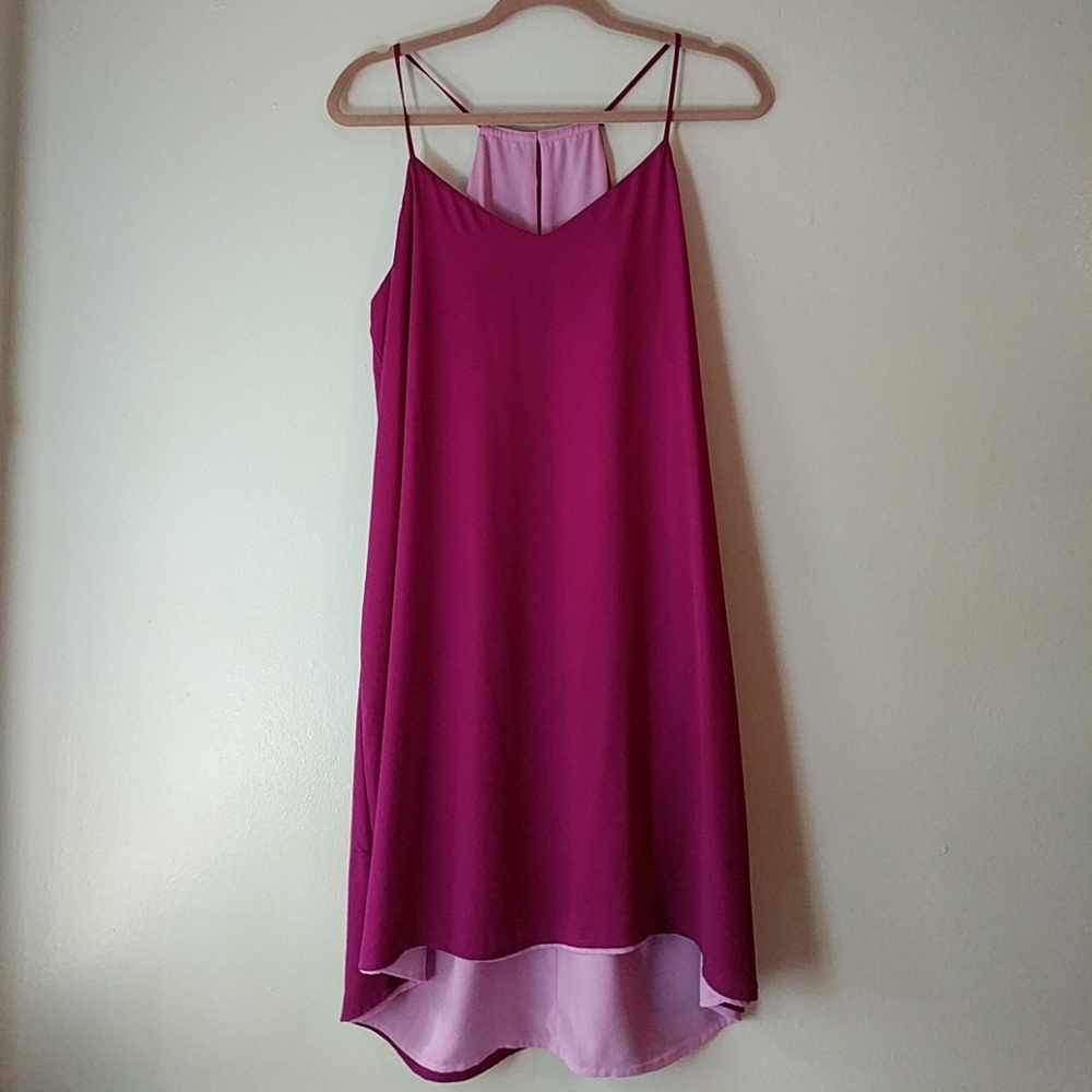 Express Pink Reversible Shift Dress