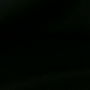 Meet your Posher, Nikka