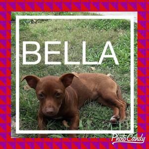 Meet your Posher, Isabelle