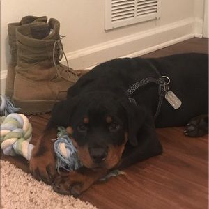 Meet your Posher, Kurt