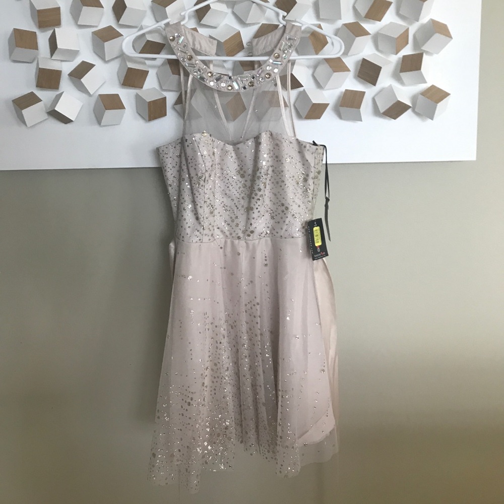 Tan Sparkly Dress- NEVER WORN - Picture 2 of 5