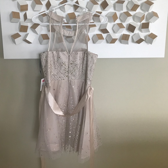 Tan Sparkly Dress- NEVER WORN - Picture 3 of 5