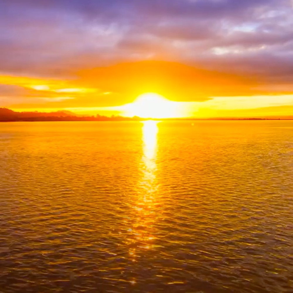 Meet your Posher, Cecilia