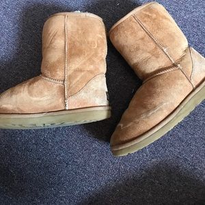 Short Chestnut Uggs