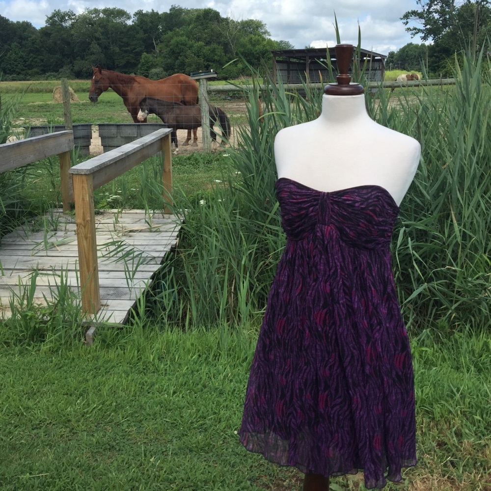 Express dress 1 - Picture 3 of 7