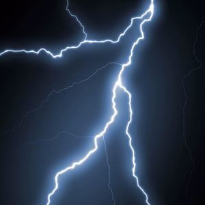 Meet your Posher, Nina