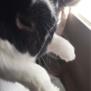 Meet your Posher, Gregory