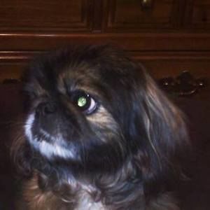 Meet your Posher, Terri