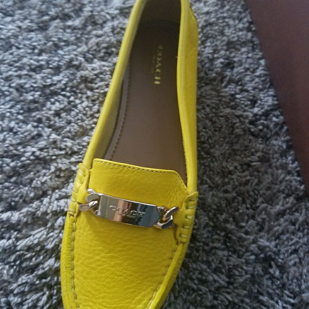 New Shoes with the box