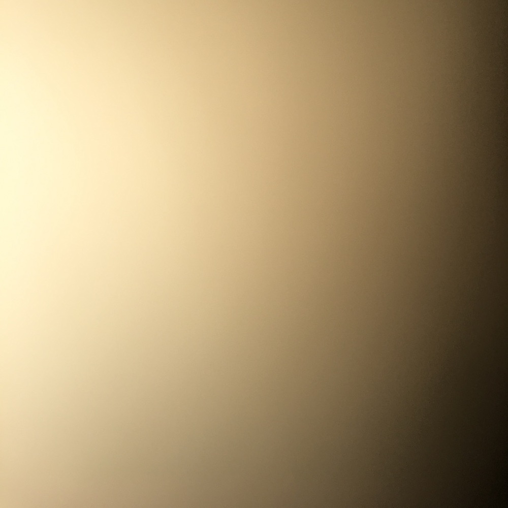 Meet your Posher, Seanna