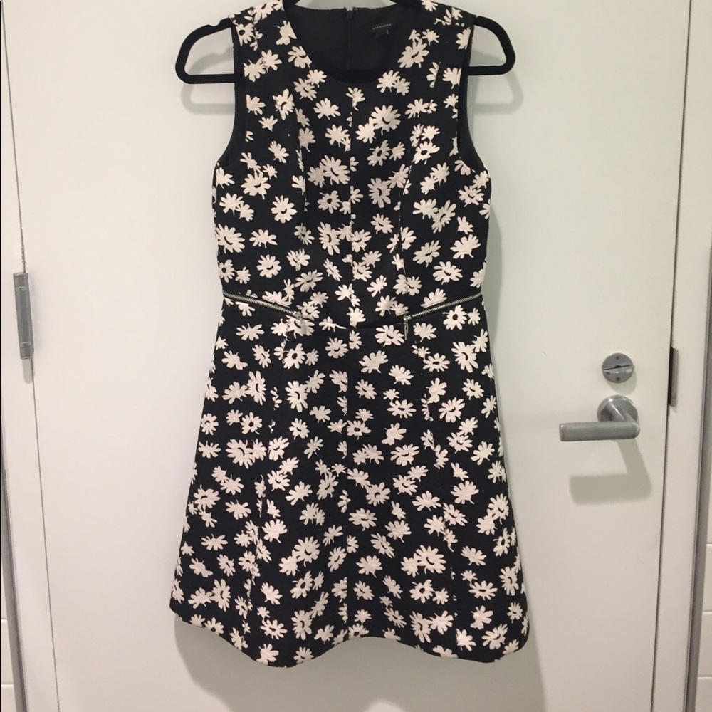 Ann Taylor Dress