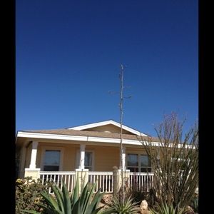 Meet your Posher, Carol